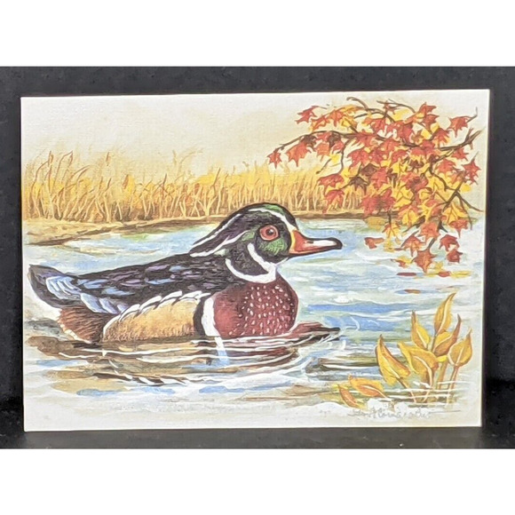 Wild Bird Notecards Blank LOT OF 13 Some Duplicates 4.25 x 5.5" White Envelopes - Picture 7 of 11